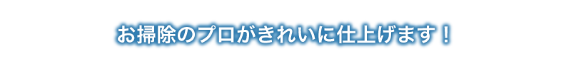 お掃除のプロがきれいに仕上げます！